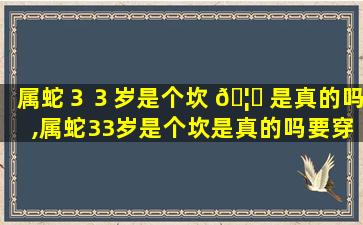 属蛇３３岁是个坎 🦟 是真的吗,属蛇33岁是个坎是真的吗要穿红吗